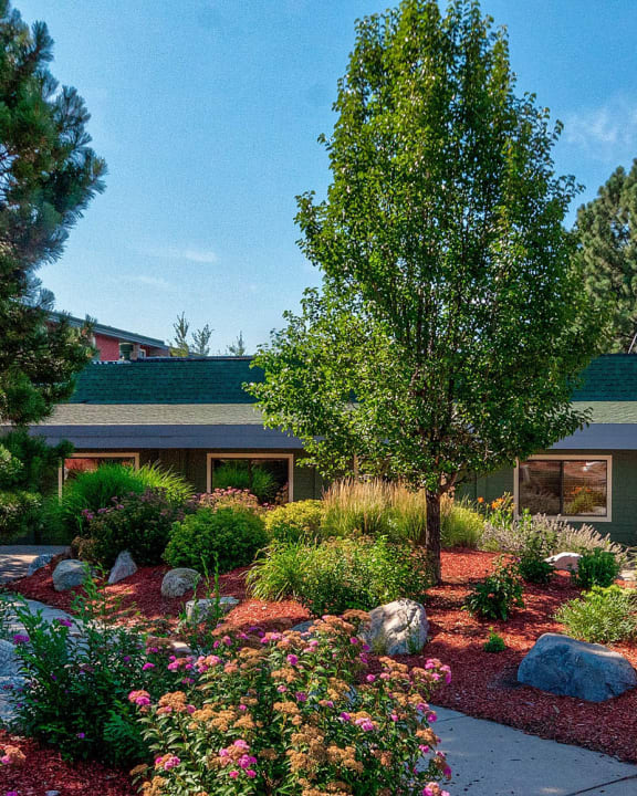 North Colorado Springs Apartments University Village Apartments